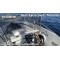 El Fenix Boat Hire