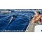 Kailani Private Charter